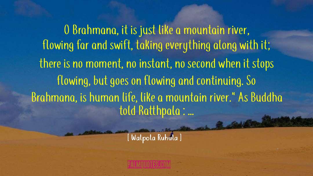 Impermanent quotes by Walpola Ruhula