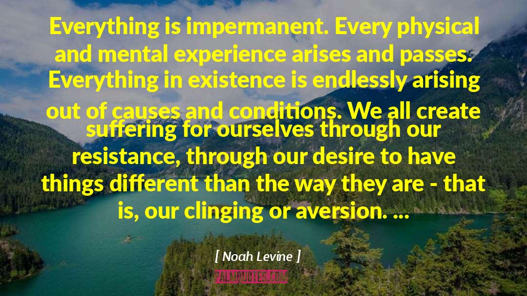 Impermanent quotes by Noah Levine