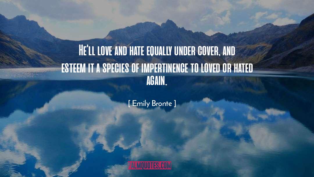 Impertinence quotes by Emily Bronte