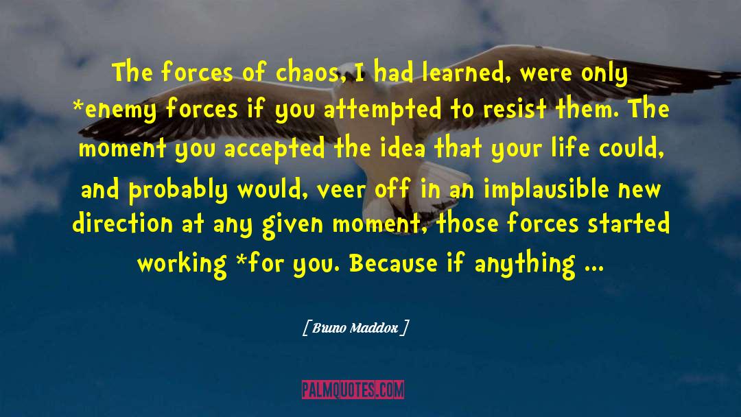 Implausible quotes by Bruno Maddox