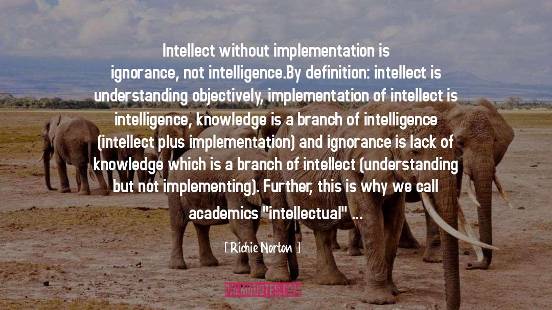 Implementation quotes by Richie Norton