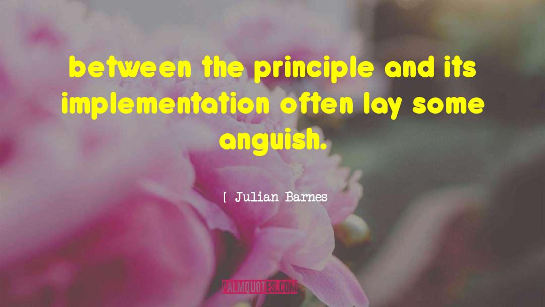 Implementation quotes by Julian Barnes