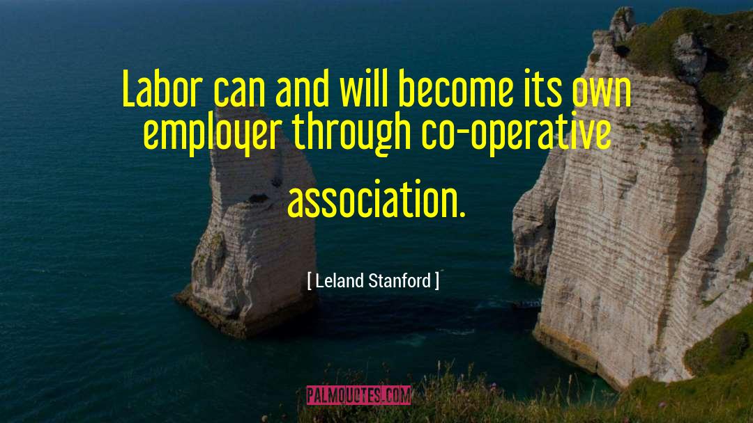 Implicit Association quotes by Leland Stanford