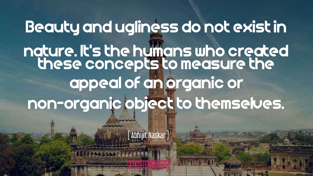 Importance Of Beauty quotes by Abhijit Naskar