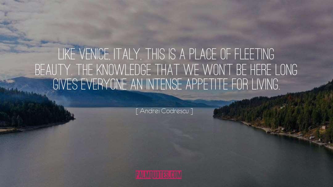 Importance Of Beauty quotes by Andrei Codrescu