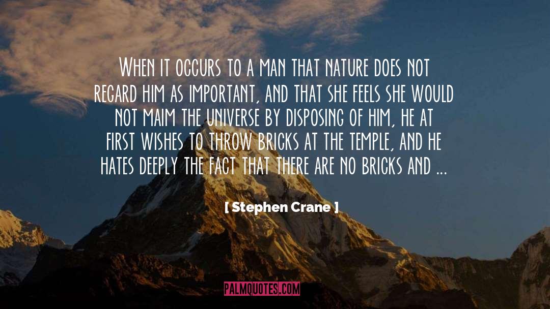 Importance Of Existence quotes by Stephen Crane