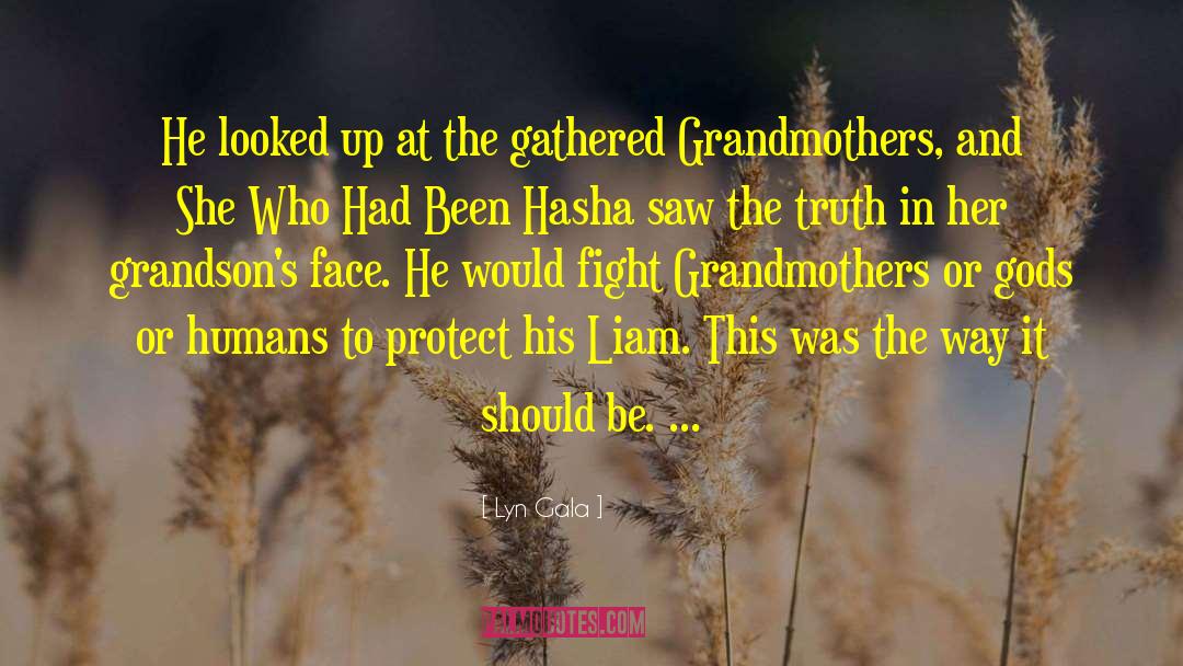 Importance Of Grandmothers quotes by Lyn Gala