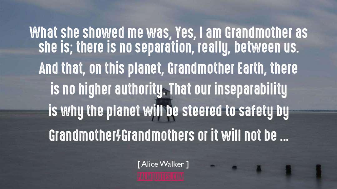 Importance Of Grandmothers quotes by Alice Walker