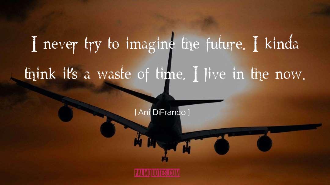 Importance Of Time quotes by Ani DiFranco