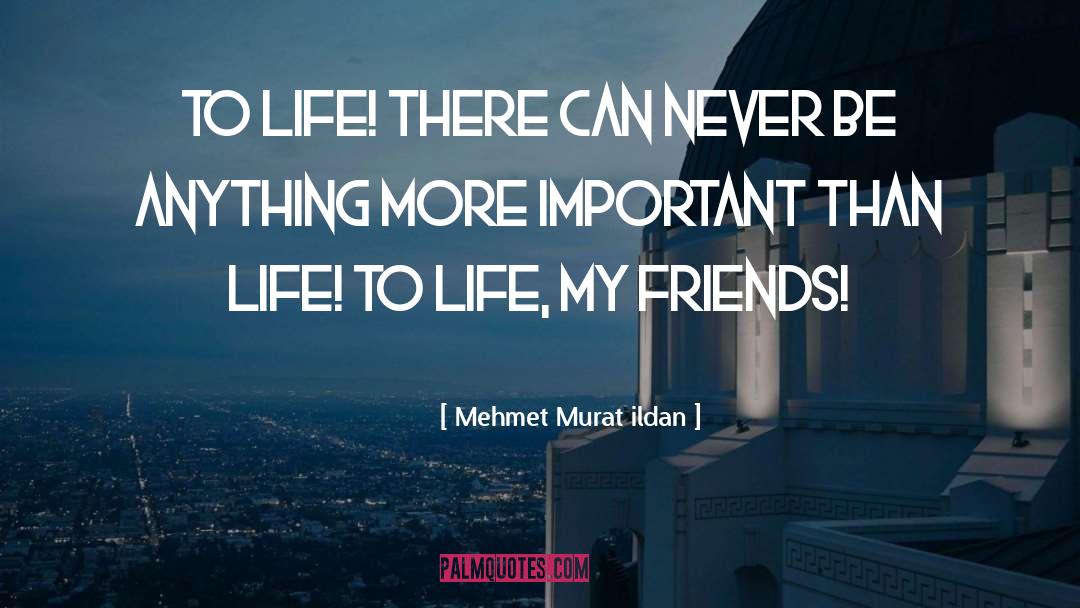 Important Friendships quotes by Mehmet Murat Ildan