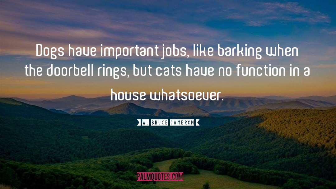 Important Jobs quotes by W. Bruce Cameron