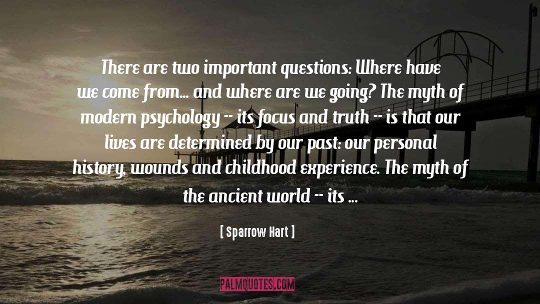 Important Questions quotes by Sparrow Hart