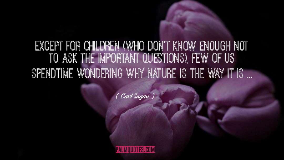 Important Questions quotes by Carl Sagan