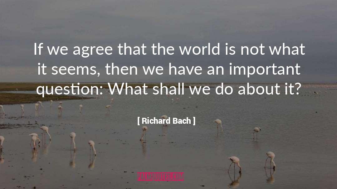 Important Questions quotes by Richard Bach