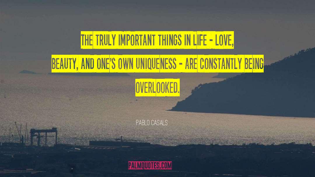 Important Things In Life quotes by Pablo Casals