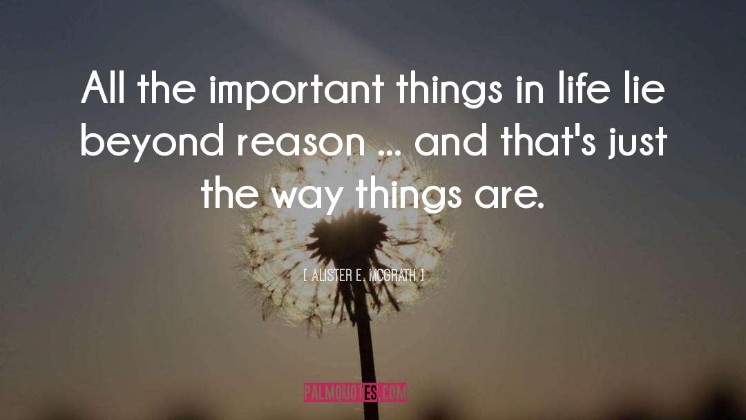 Important Things In Life quotes by Alister E. McGrath
