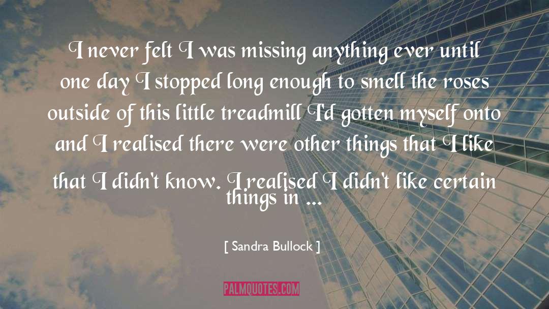 Important Things In Life quotes by Sandra Bullock