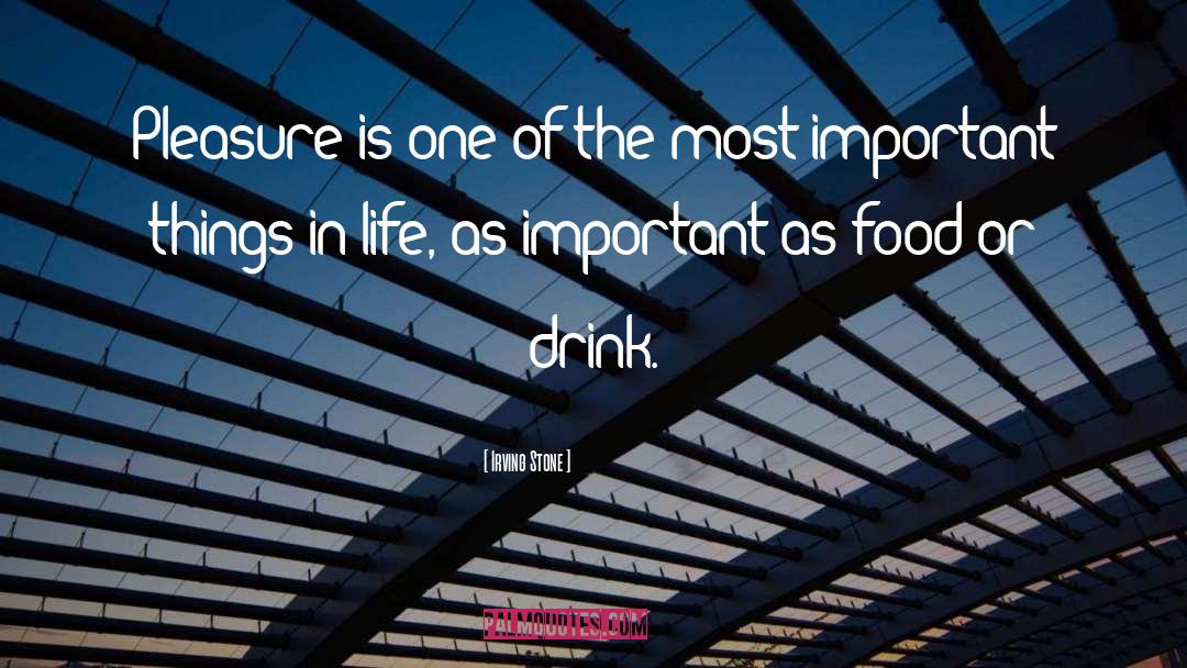 Important Things In Life quotes by Irving Stone