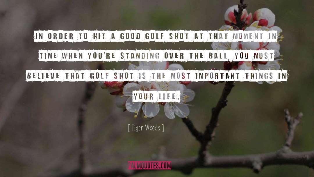 Important Things In Your Life quotes by Tiger Woods