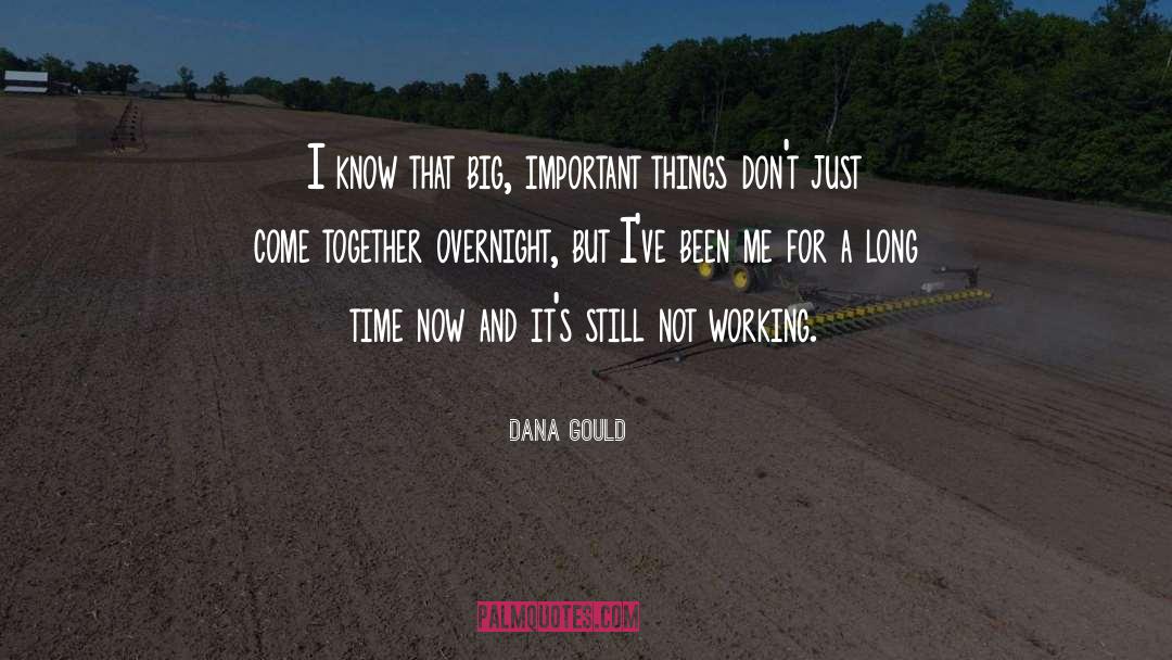 Important Things quotes by Dana Gould