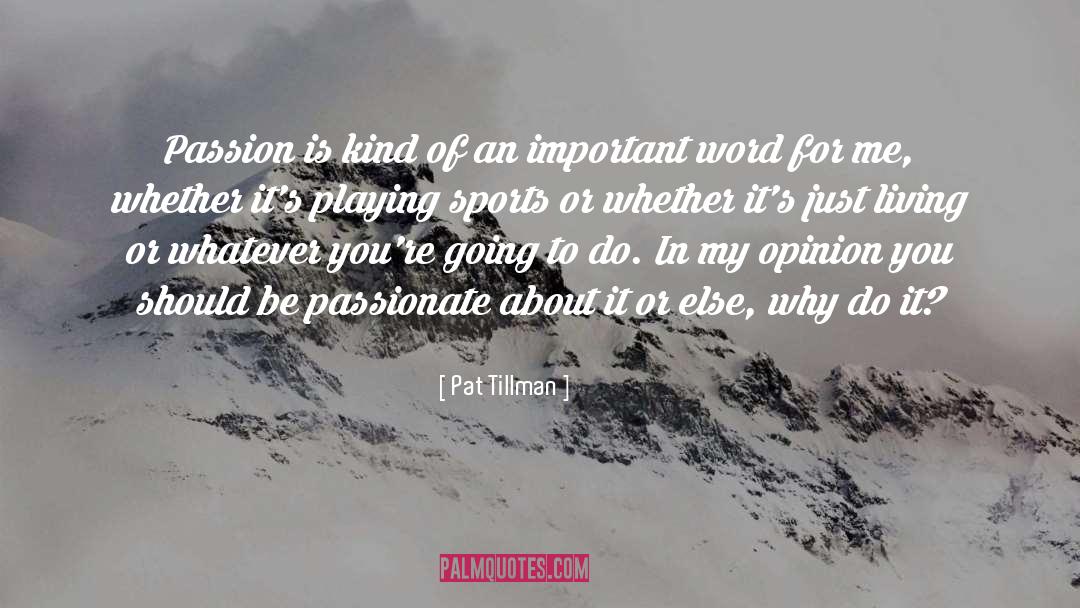 Important Words quotes by Pat Tillman