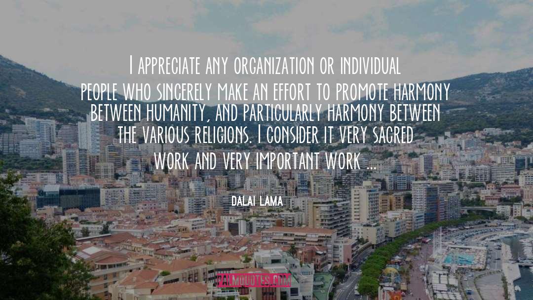 Important Work quotes by Dalai Lama