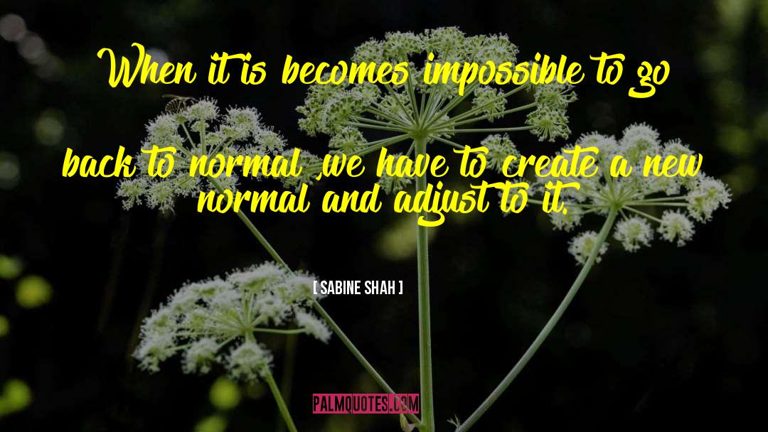 Impossible Becomes Possible quotes by Sabine Shah