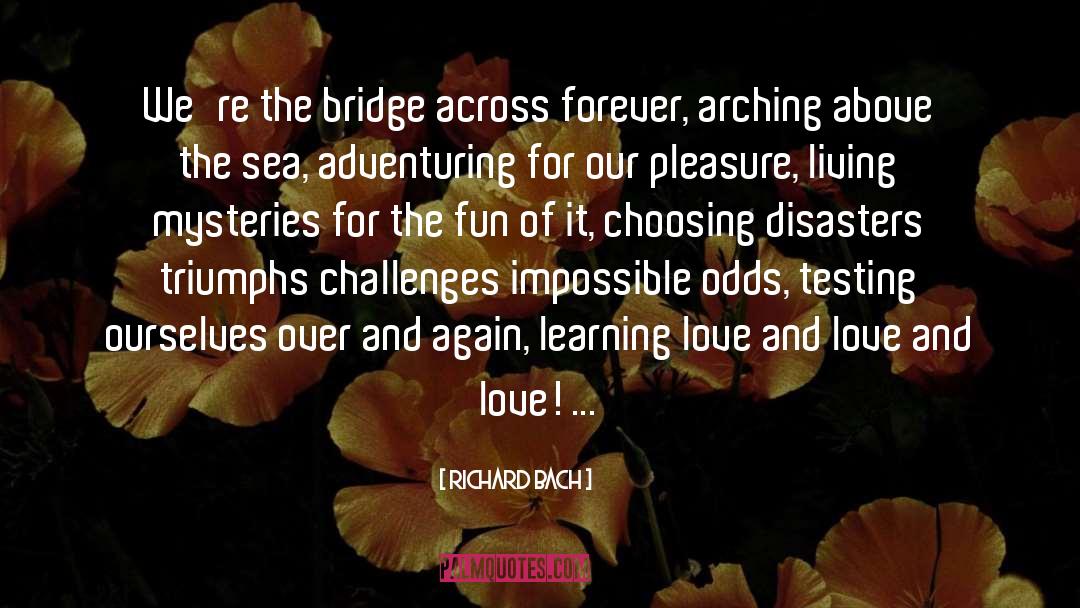 Impossible Odds quotes by Richard Bach