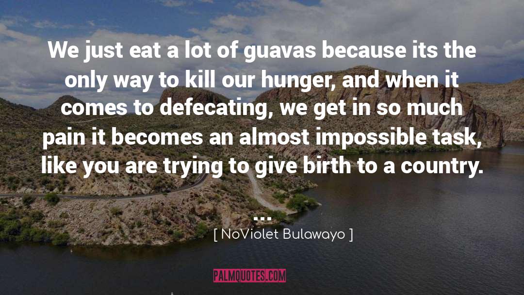 Impossible Task quotes by NoViolet Bulawayo