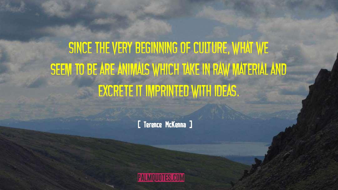 Imprinted quotes by Terence McKenna