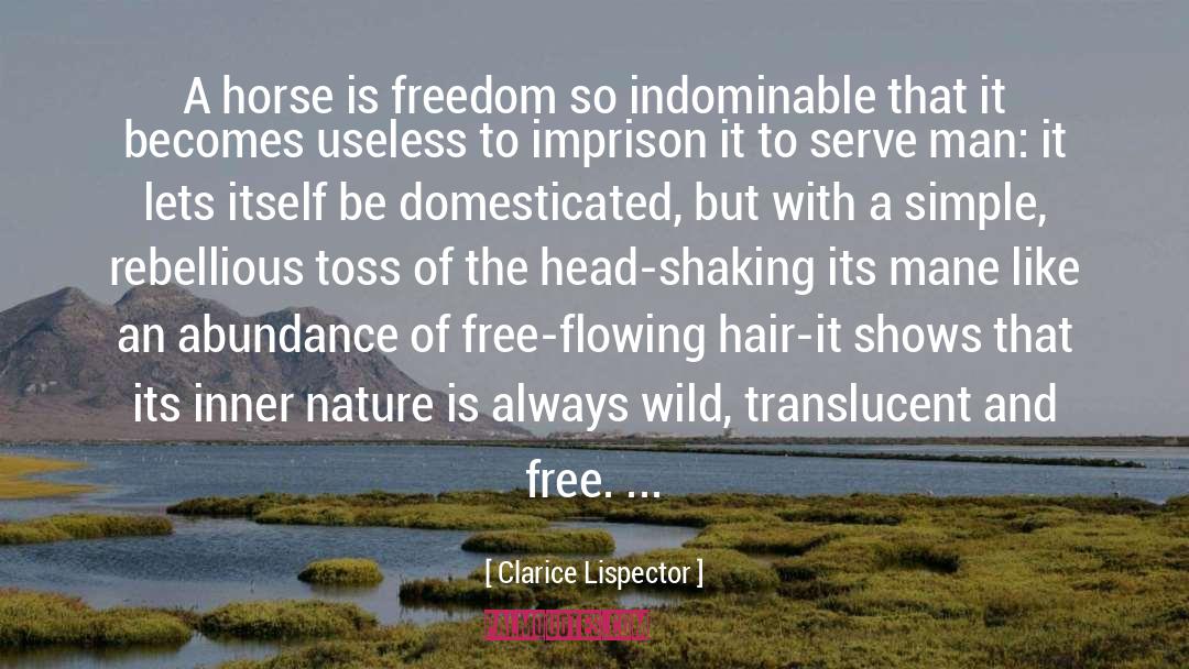 Imprison quotes by Clarice Lispector