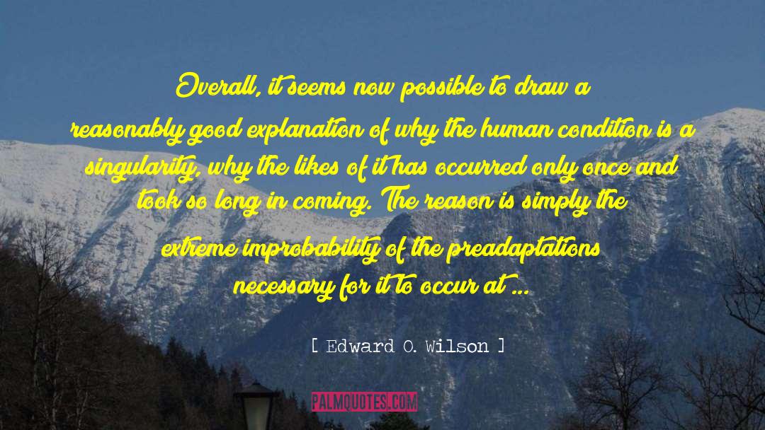 Improbability quotes by Edward O. Wilson