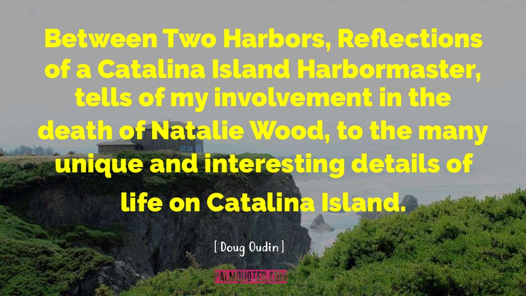 Improbable Island quotes by Doug Oudin