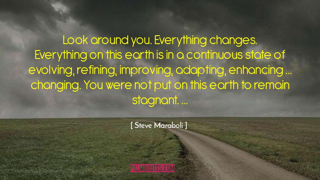 Improving Life quotes by Steve Maraboli