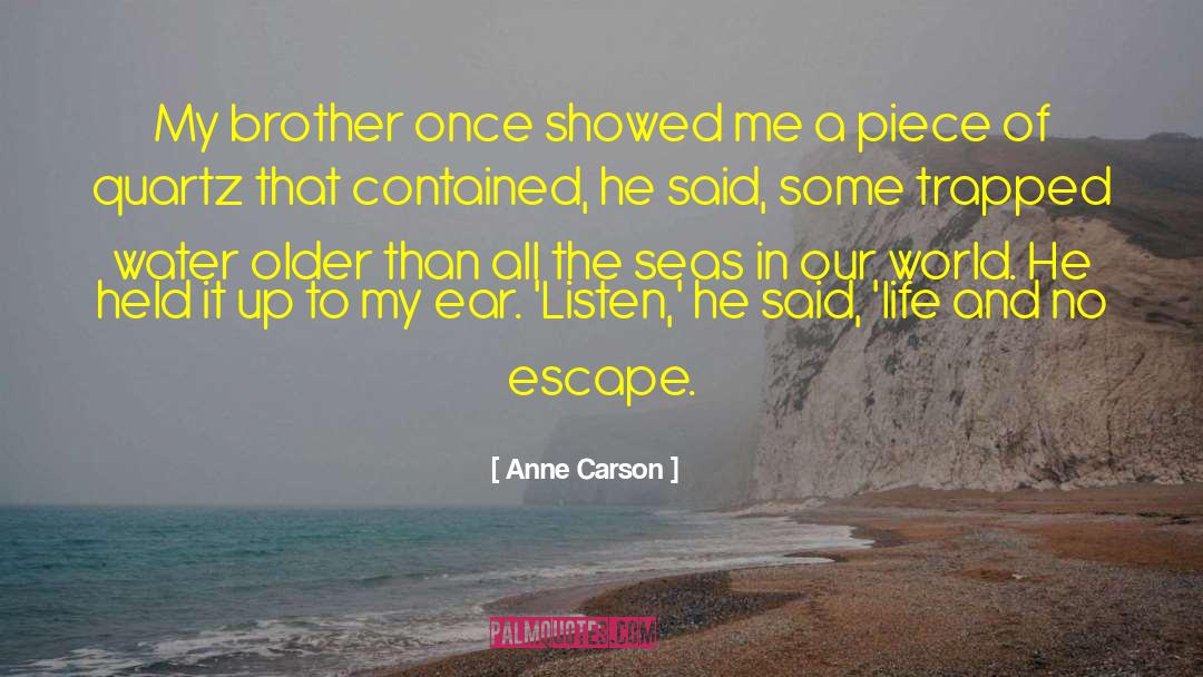 Improving Life quotes by Anne Carson