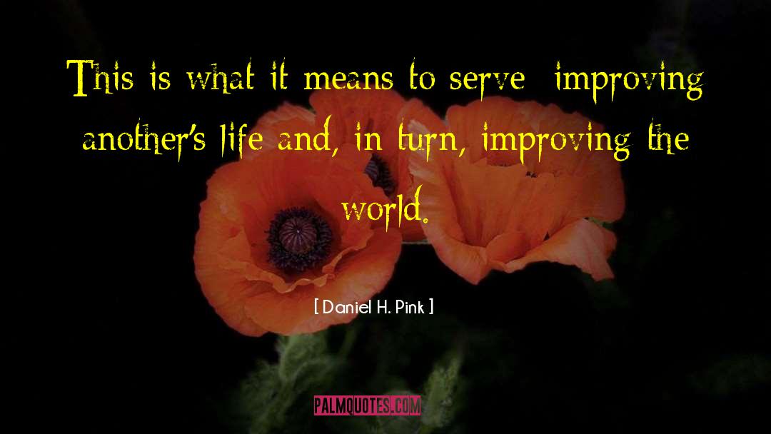 Improving The World quotes by Daniel H. Pink