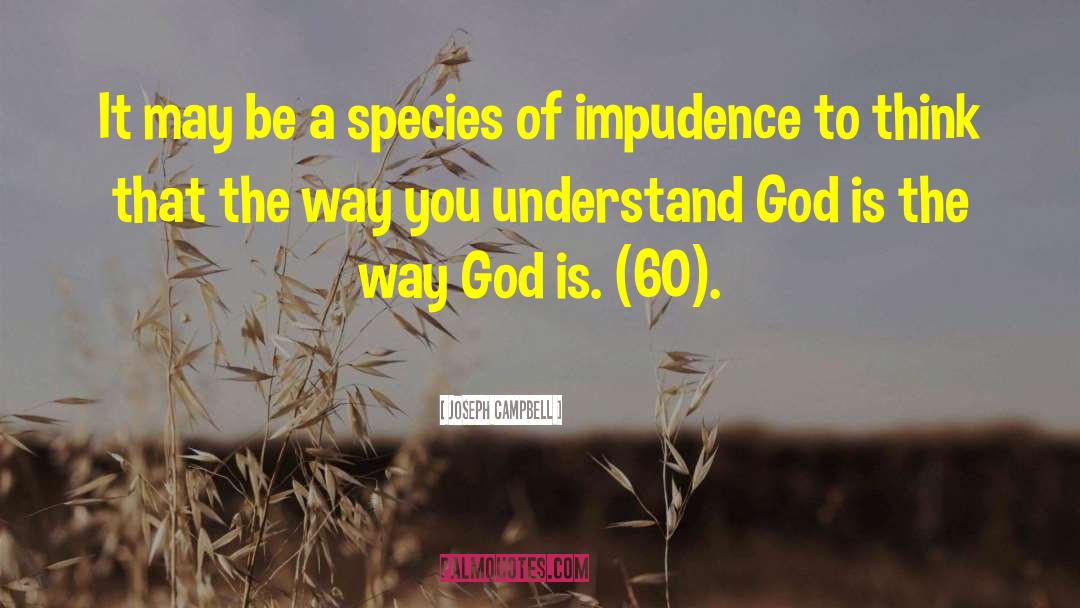 Impudence quotes by Joseph Campbell