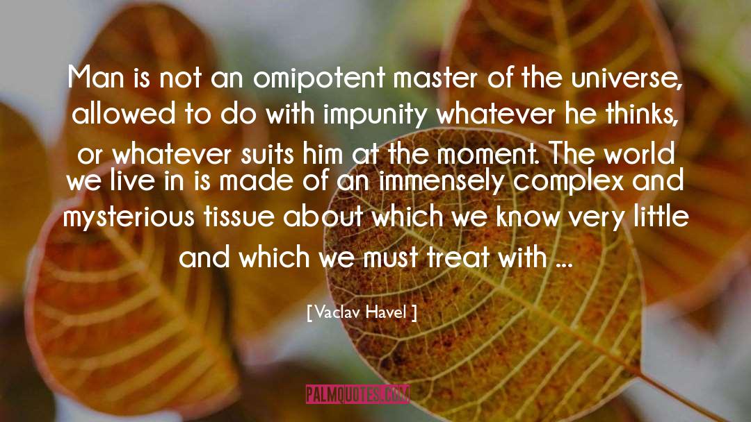 Impunity quotes by Vaclav Havel