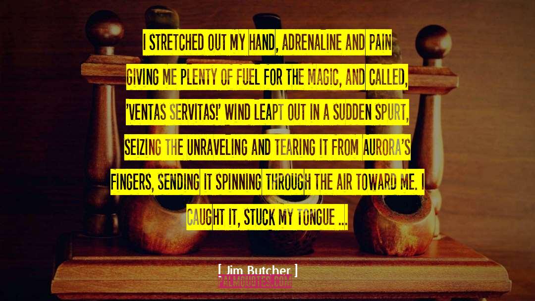 In A Funk quotes by Jim Butcher