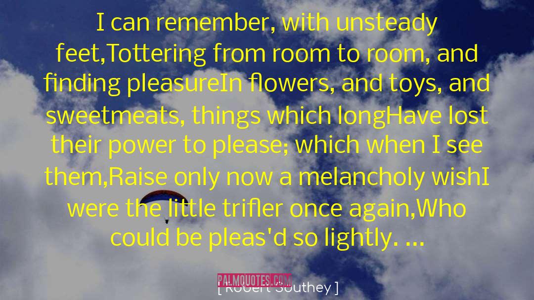 In A Room And A Half quotes by Robert Southey