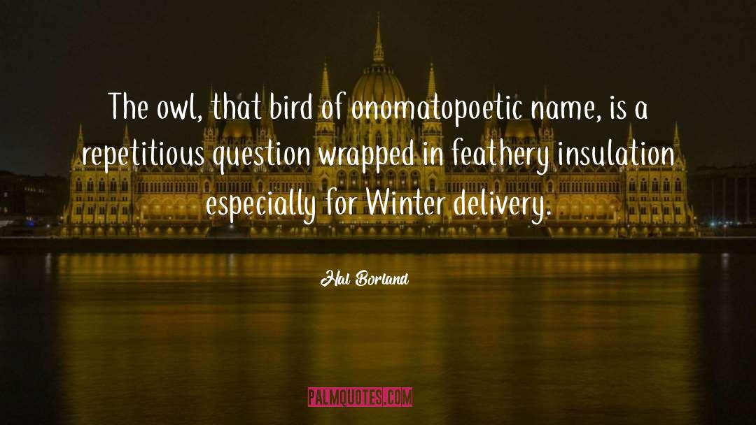 In A Winter City quotes by Hal Borland