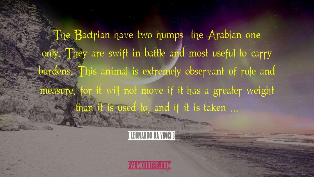 In Arabian Nights quotes by Leonardo Da Vinci