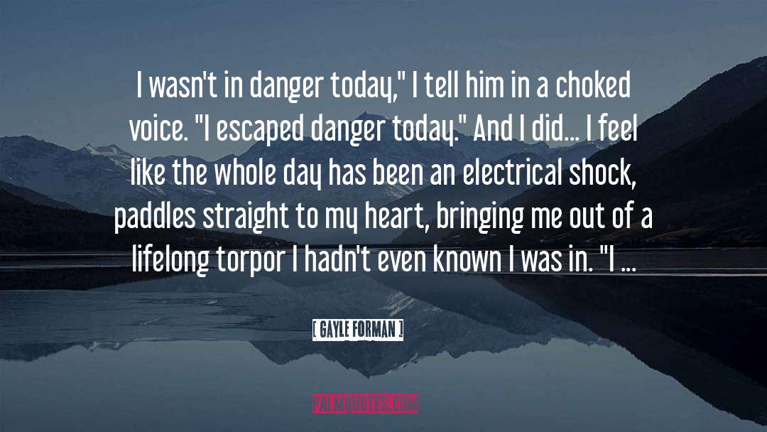 In Danger quotes by Gayle Forman