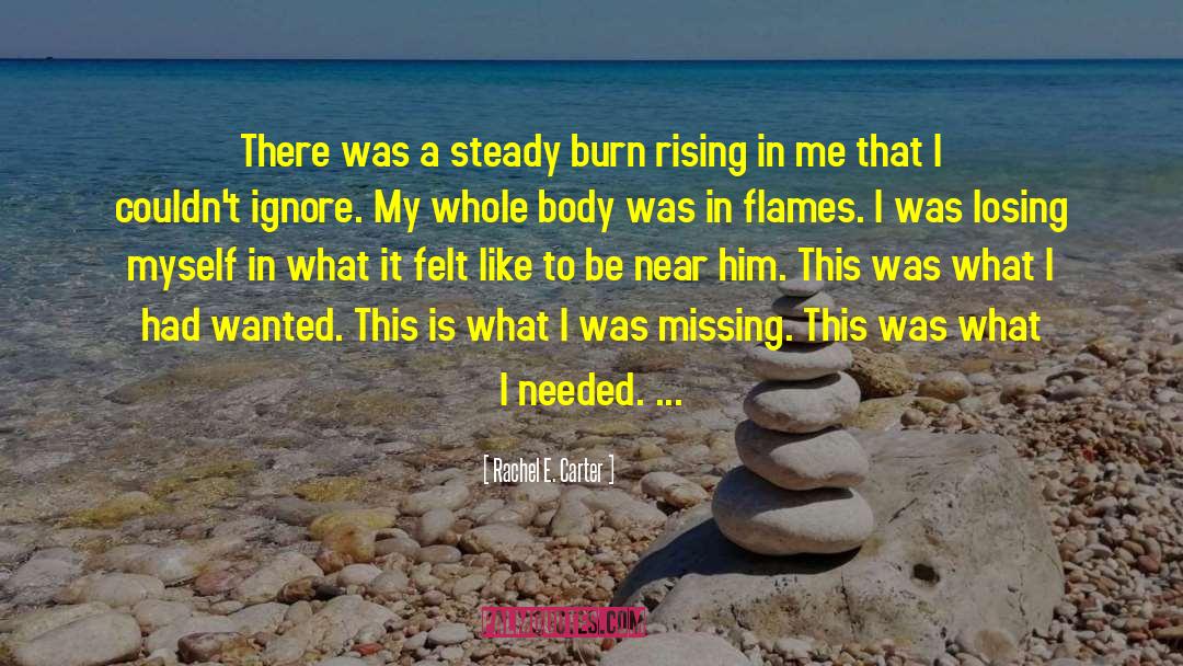In Flames quotes by Rachel E. Carter