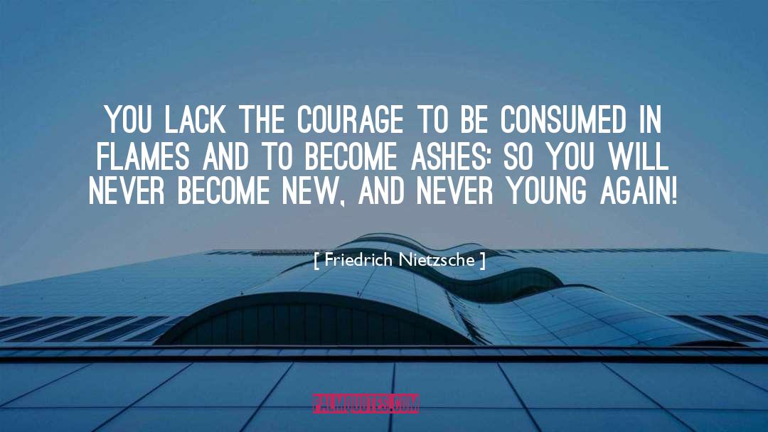In Flames quotes by Friedrich Nietzsche