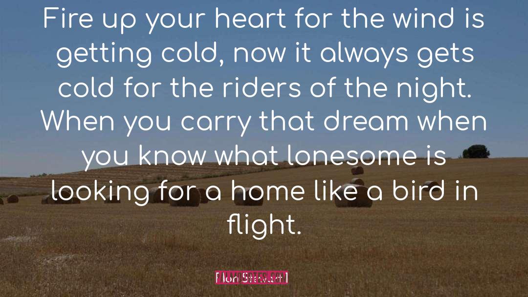 In Flight quotes by Jon Stewart