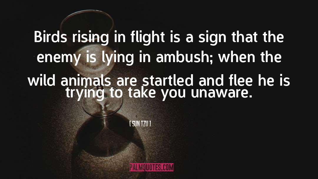 In Flight quotes by Sun Tzu