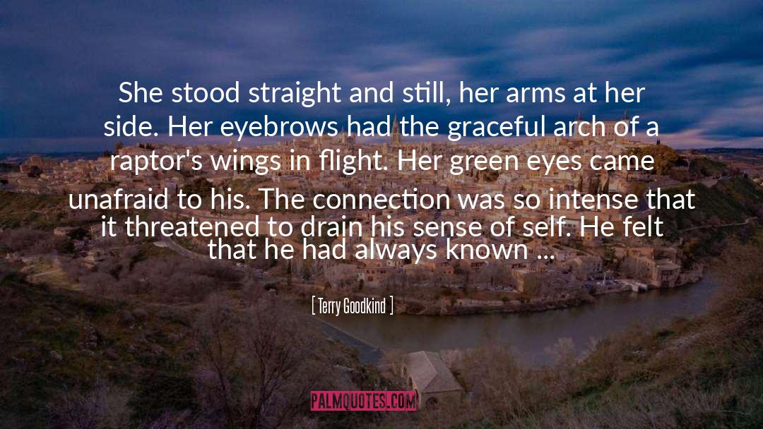 In Flight quotes by Terry Goodkind