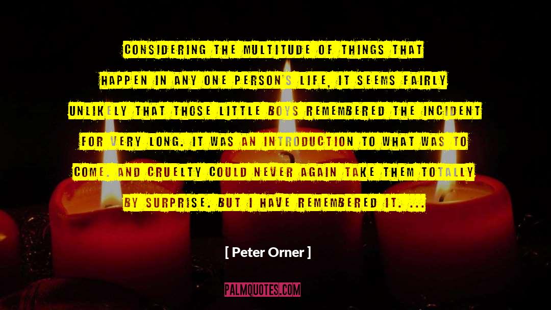 In It For The Long Run quotes by Peter Orner