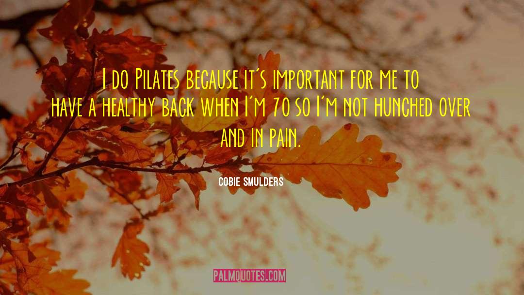 In Pain quotes by Cobie Smulders